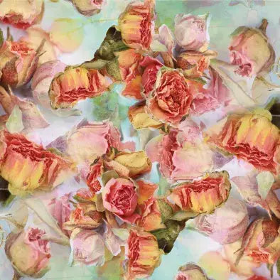 Scarf - Let Love Clothing
